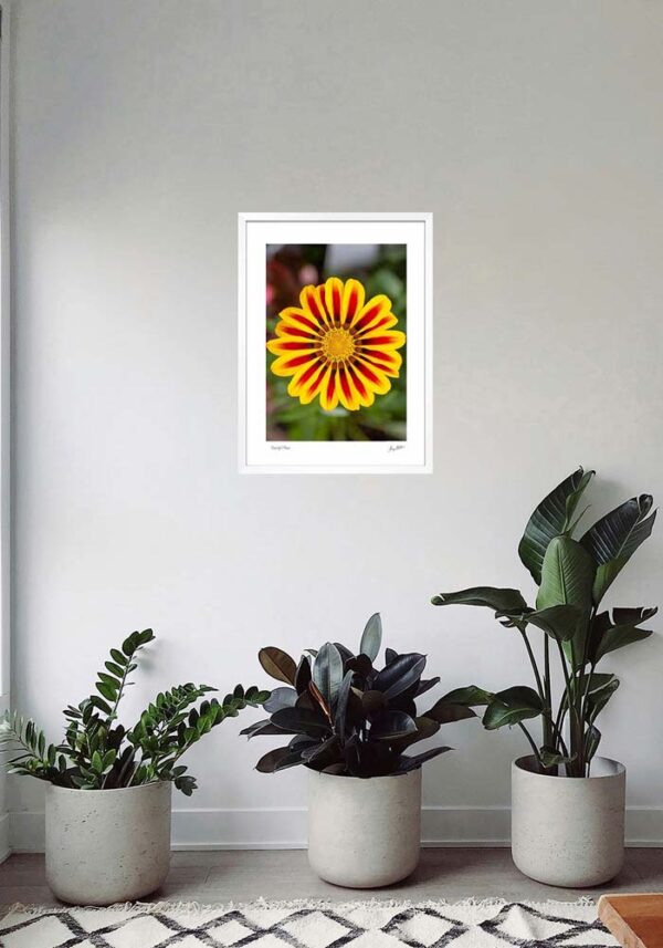 Beautiful Flower - Image 5