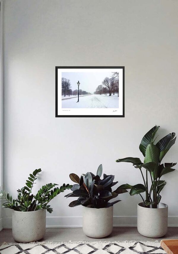 Phoenix Park in the Snow - Image 4