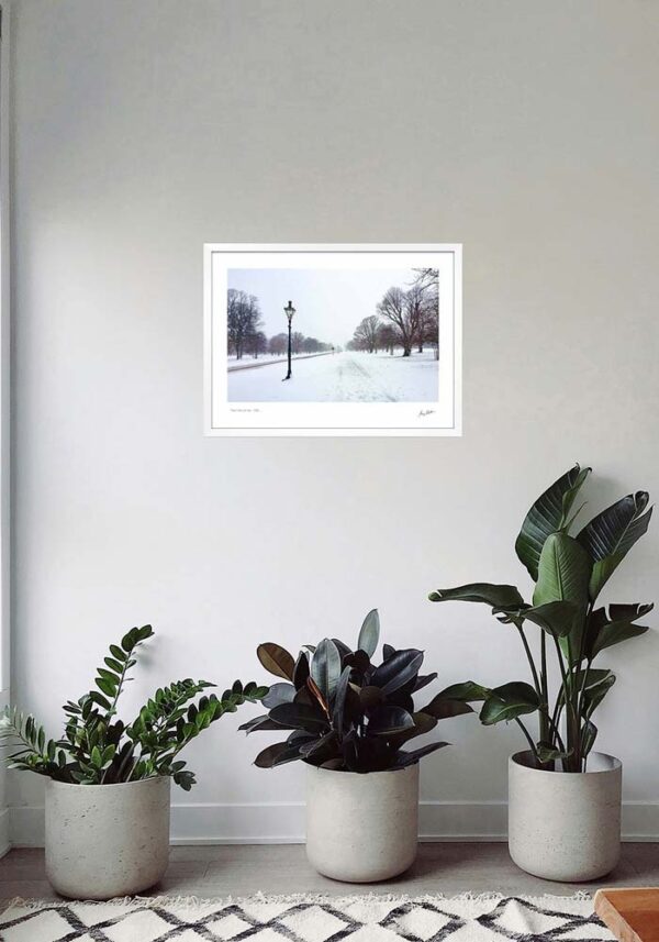 Phoenix Park in the Snow - Image 5
