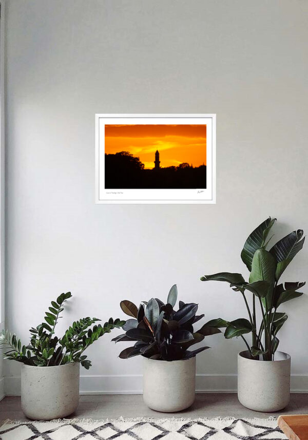 Sunset at Farmleigh - Image 5