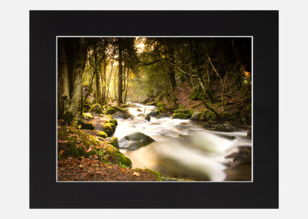 Avonberg River - Abhainn Beag Glenmalure forest - Image 6