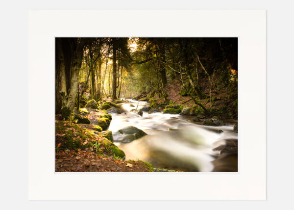 Avonberg River - Abhainn Beag Glenmalure forest - Image 7