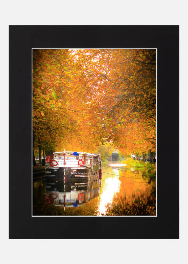 Grand Canal Autumn -  Dublin - Image 6