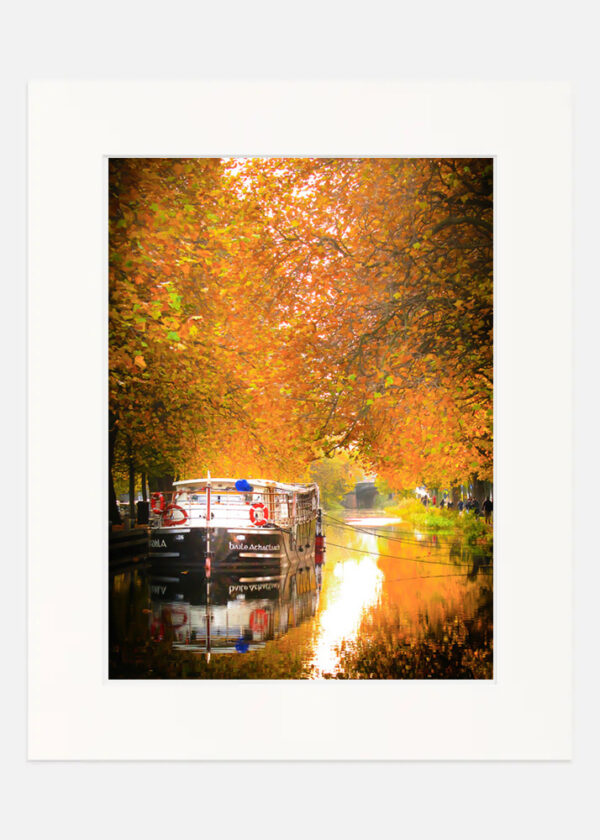 Grand Canal Autumn -  Dublin - Image 7