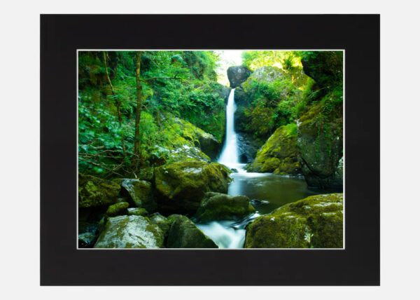 The Devils Glen Wicklow - Image 6