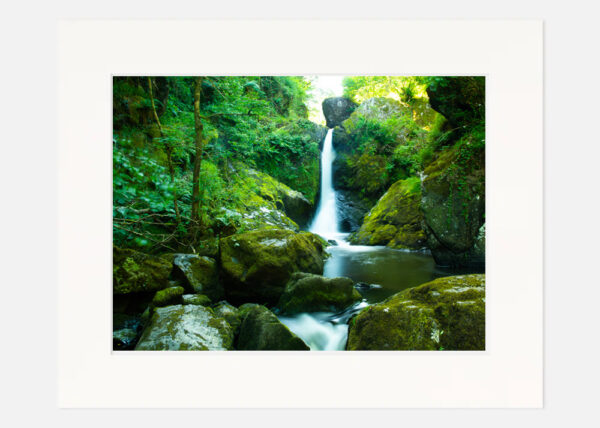 The Devils Glen Wicklow - Image 7