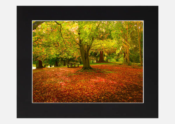 Farmleigh Phoenix Park - Image 6