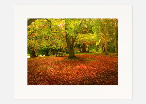 Farmleigh Phoenix Park - Image 7