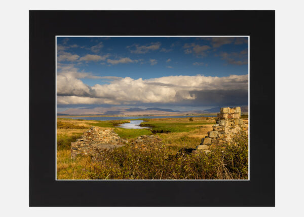 Homestead - Mayo - Image 6