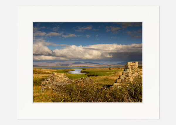 Homestead - Mayo - Image 7