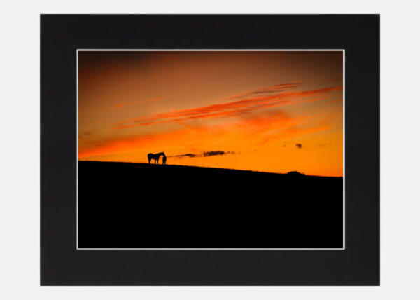 Tending a horse at sunset - Image 6