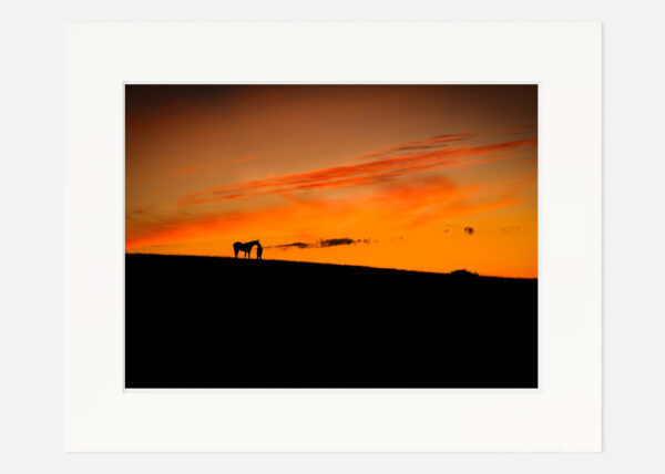 Tending a horse at sunset - Image 7