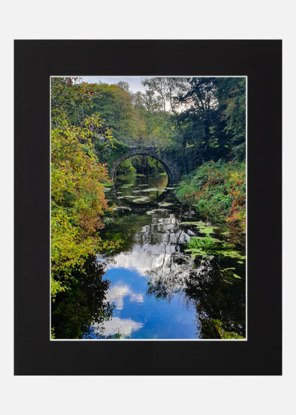 Killarney National Park - Co. Kerry - Image 6