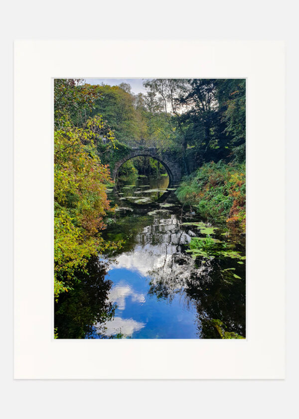 Killarney National Park - Co. Kerry - Image 7