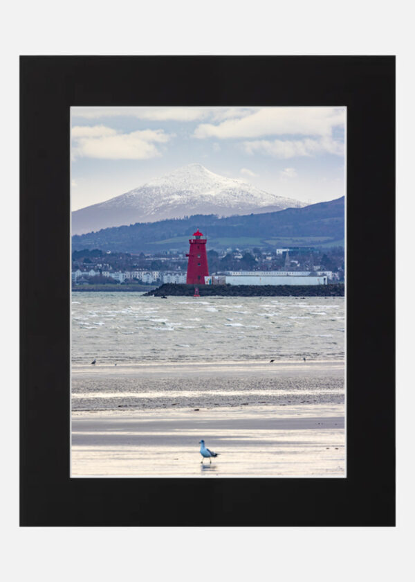 Poolbeg and the Sugarloaf - Image 6