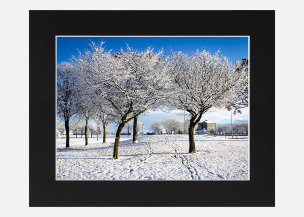 Rockfield Park in the Snow - Image 6