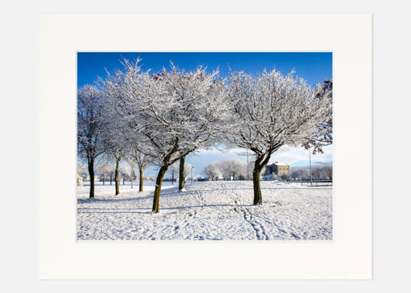 Rockfield Park in the Snow - Image 7