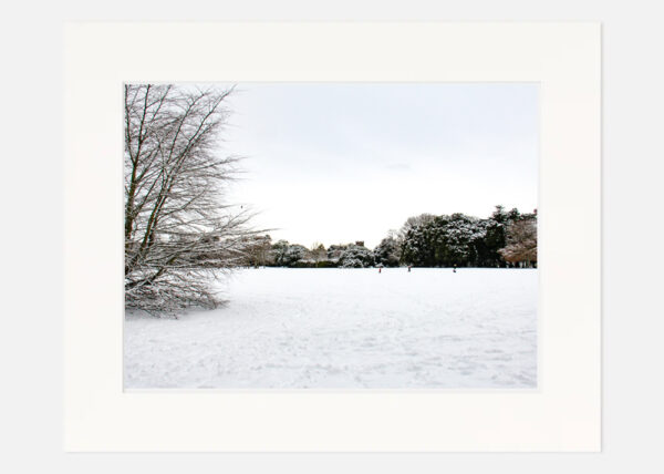 St Annes Park in the Snow - Image 7