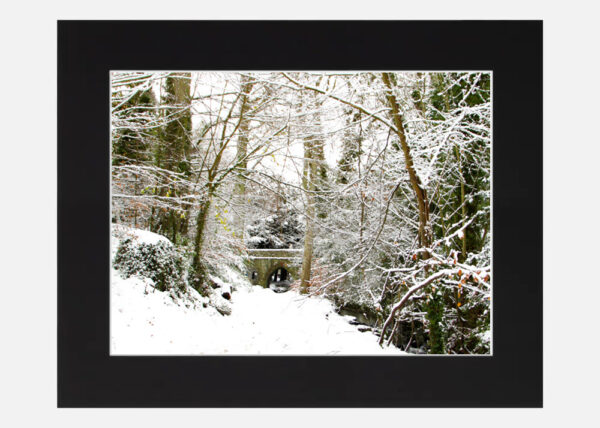 St Annes Park in the Snow - Image 6