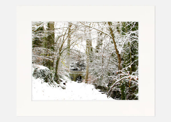 St Annes Park in the Snow - Image 7