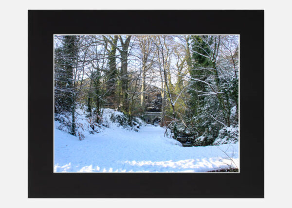 St Annes Park in the Snow - Image 6