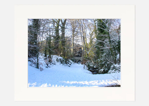 St Annes Park in the Snow - Image 7
