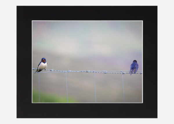 A Lovers tiff - Image 6