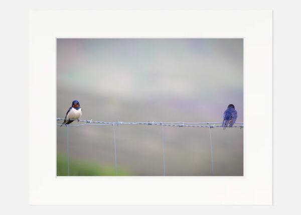 A Lovers tiff - Image 7