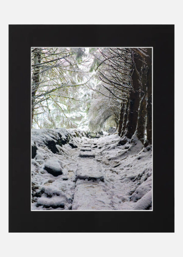 Ballinastoe in the Snow - Image 6