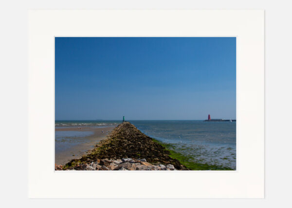 Bull Wall - Image 7