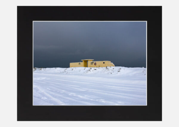 Bull Wall in the Snow - Image 6
