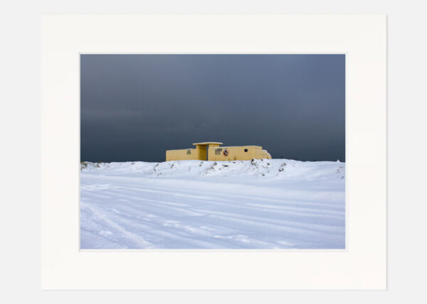 Bull Wall in the Snow - Image 7