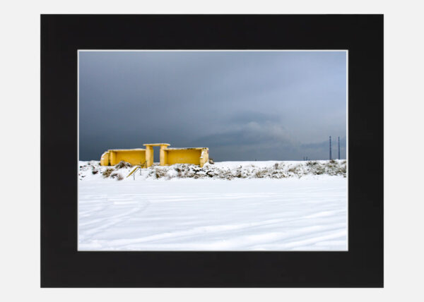 Bull Wall in the Snow - Image 6
