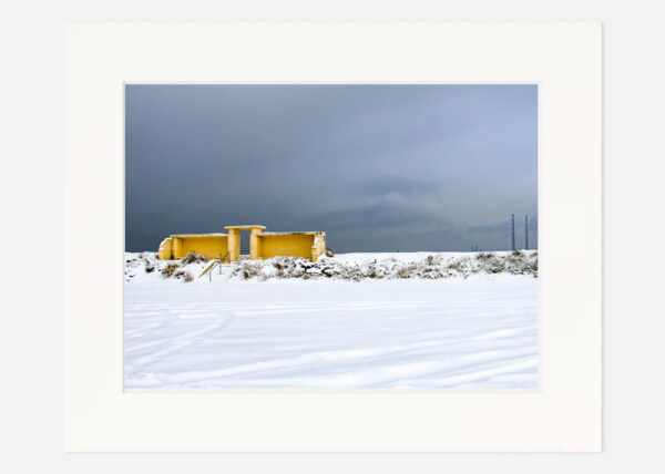 Bull Wall in the Snow - Image 7
