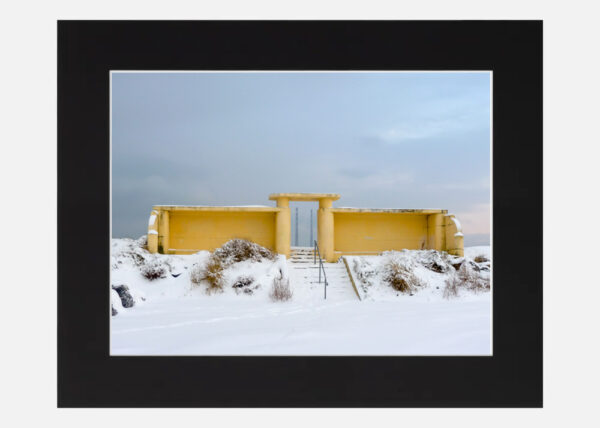 Bull Wall in the Snow - Image 6
