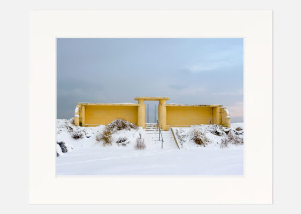 Bull Wall in the Snow - Image 7