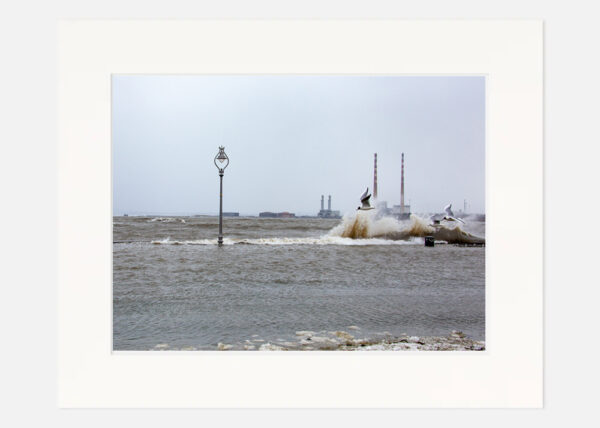 Clontarf in the Storm - Image 7
