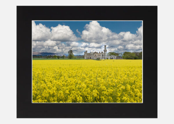 Ducketts Grove Co. Carlow - Image 6