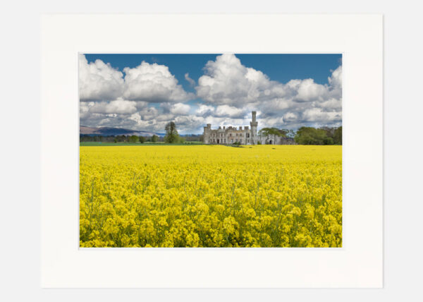 Ducketts Grove Co. Carlow - Image 7