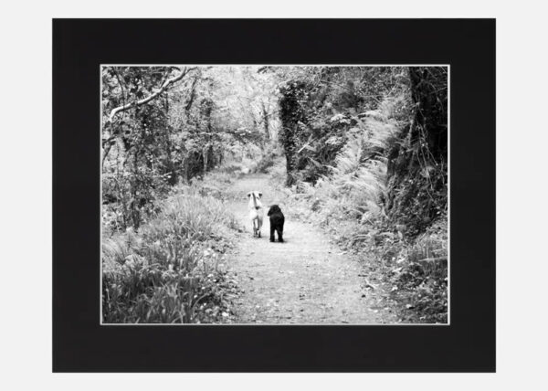 Forever friends - Image 6
