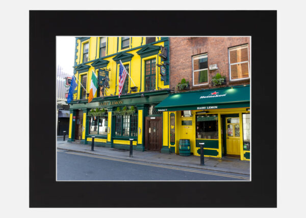 The Hairy Lemon Pub - Image 6