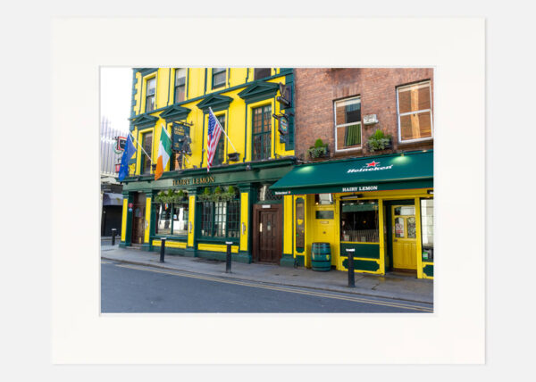 The Hairy Lemon Pub - Image 7