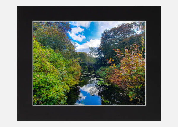 Killarney National Park - Co. Kerry - Image 6