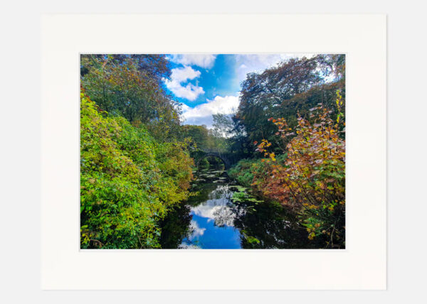 Killarney National Park - Co. Kerry - Image 7