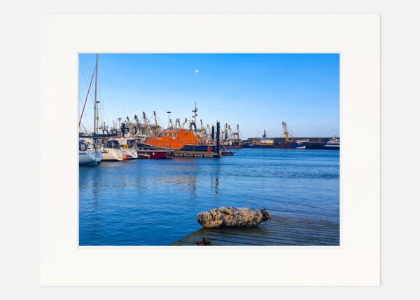Kilmore Quay - Co. Wexford - Image 7