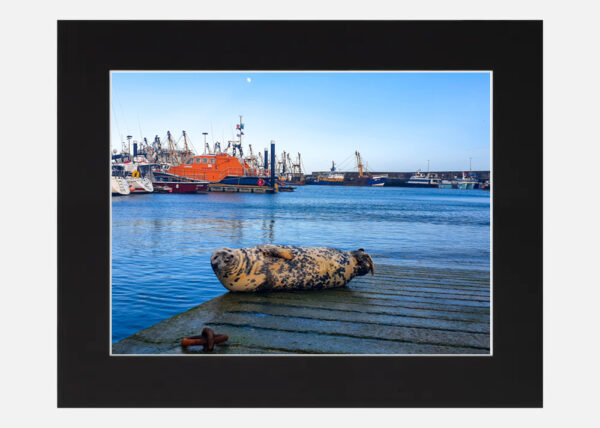 Kilmore Quay - Co. Wexford - Image 6