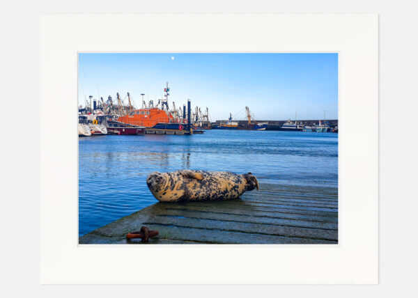 Kilmore Quay - Co. Wexford - Image 7