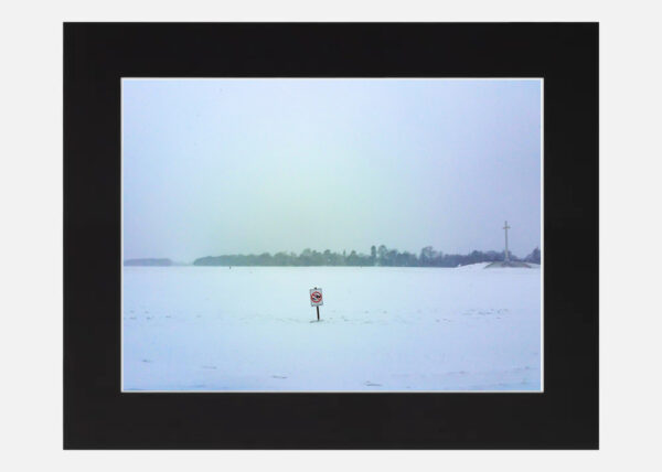 Phoenix Park in the Snow - Image 6