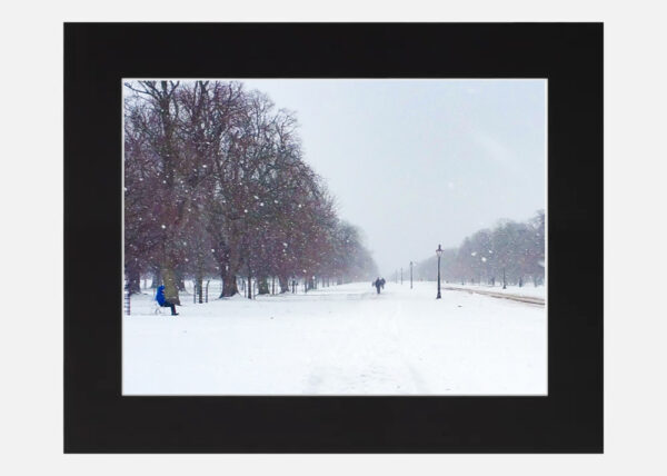Phoenix Park in the Snow - Image 6