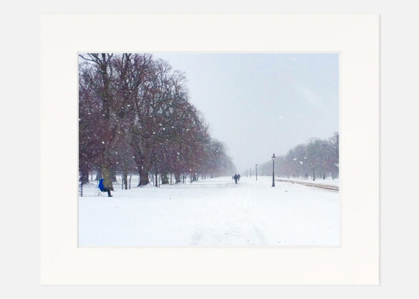 Phoenix Park in the Snow - Image 7